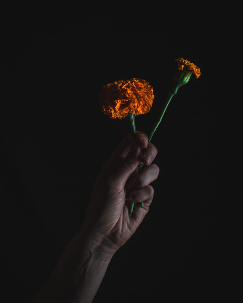 Hand holding marigolds flor de muerto Cempaxochitl